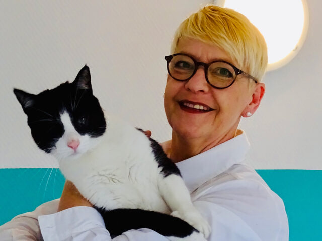 Ein großes Herz für Katzen