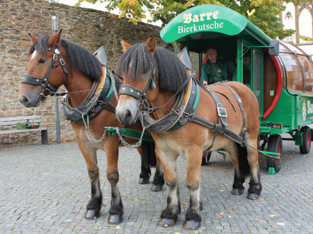 Biertradition auf vier Hufen